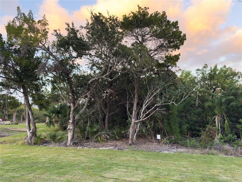 Natural landscape and outdoor views near  in Flagler Beach (Image 66).