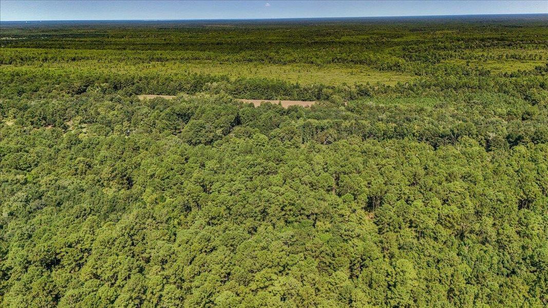 Natural landscape and outdoor views near  in Cordesville (Image 35).