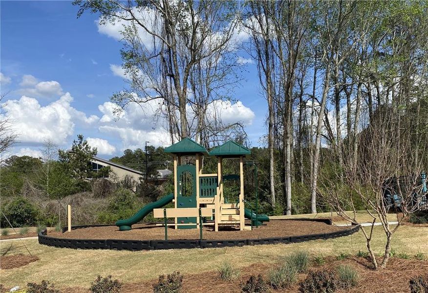 Community amenities in Carolina, Palmetto (Image 13). Community amenities in Carolina, Palmetto (Image 13).