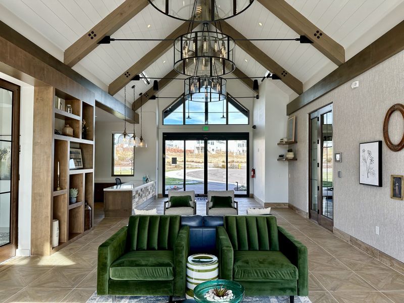 Community amenities in The Town Collection at Independence, Elizabeth (Image 26).