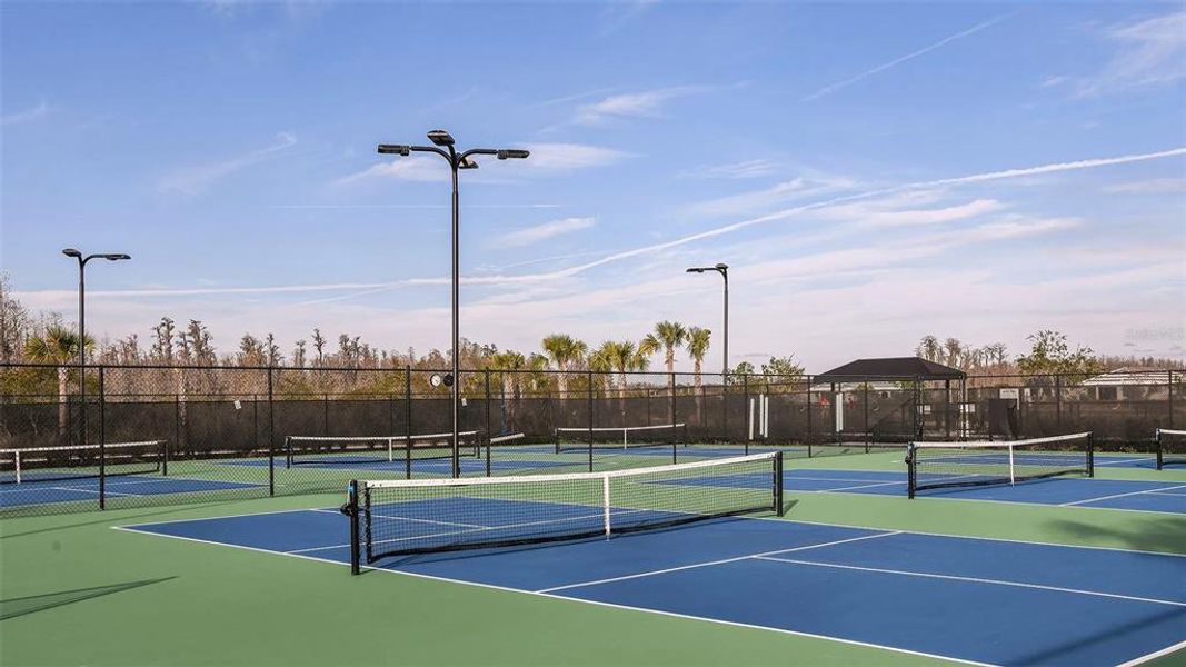 Community amenities in , Wesley Chapel (Image 31).