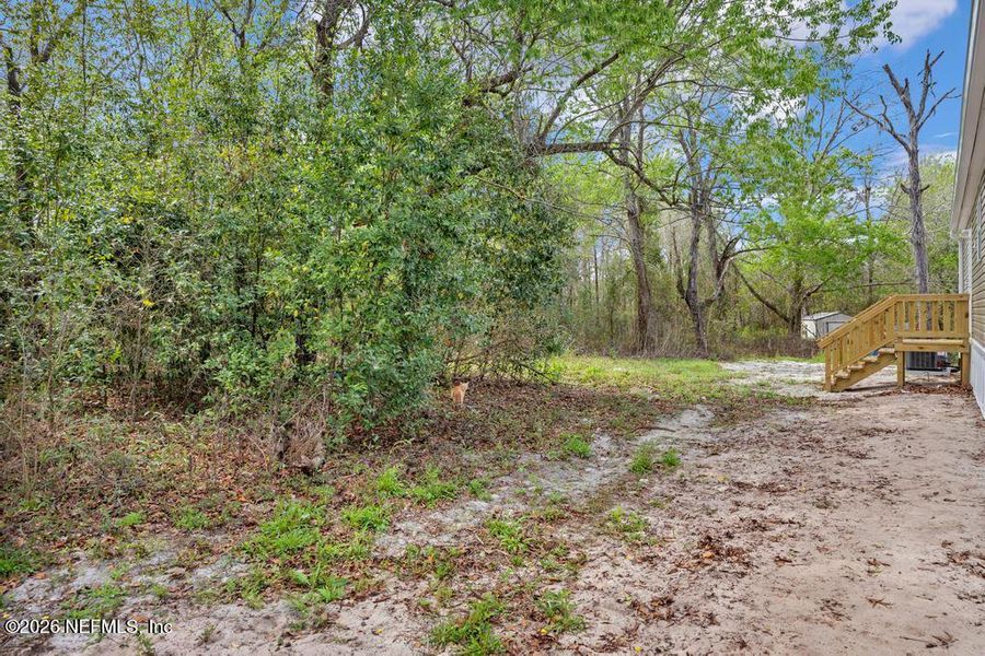 Natural landscape and outdoor views near  in Middleburg (Image 33).