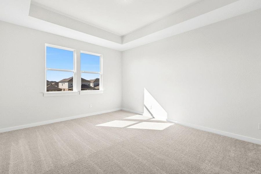 Carpeted spare room with a raised ceiling