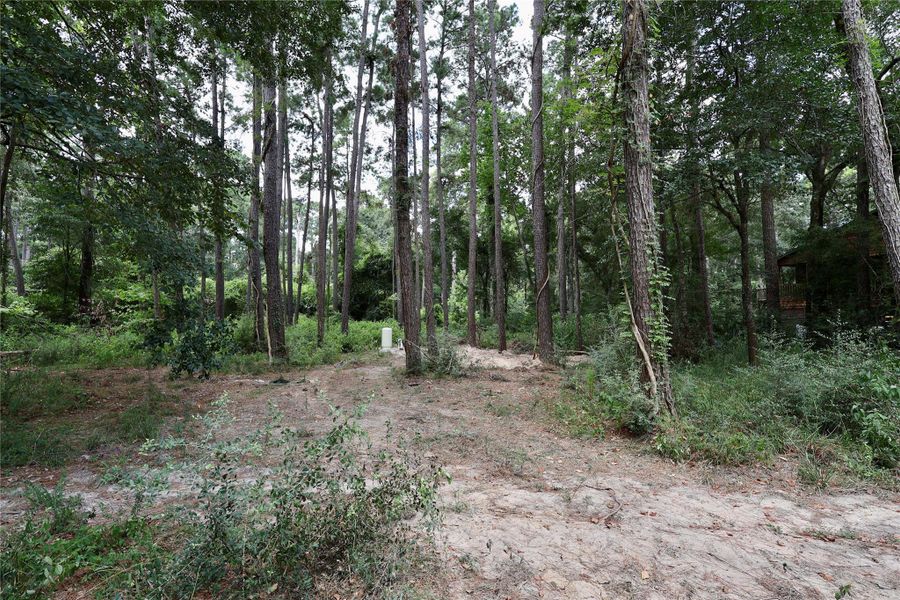 Natural landscape and outdoor views near in Magnolia (Image 35). Natural landscape and outdoor views near in Magnolia (Image 35).