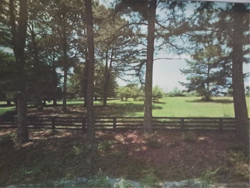 Natural landscape and outdoor views near  in Milton (Image 4).