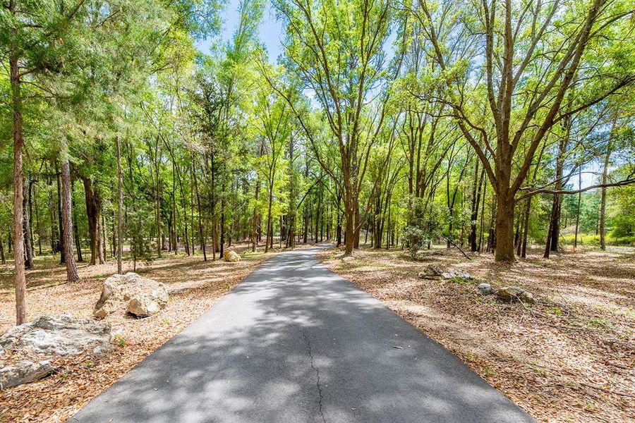 Natural landscape and outdoor views near  in Fort White (Image 42).