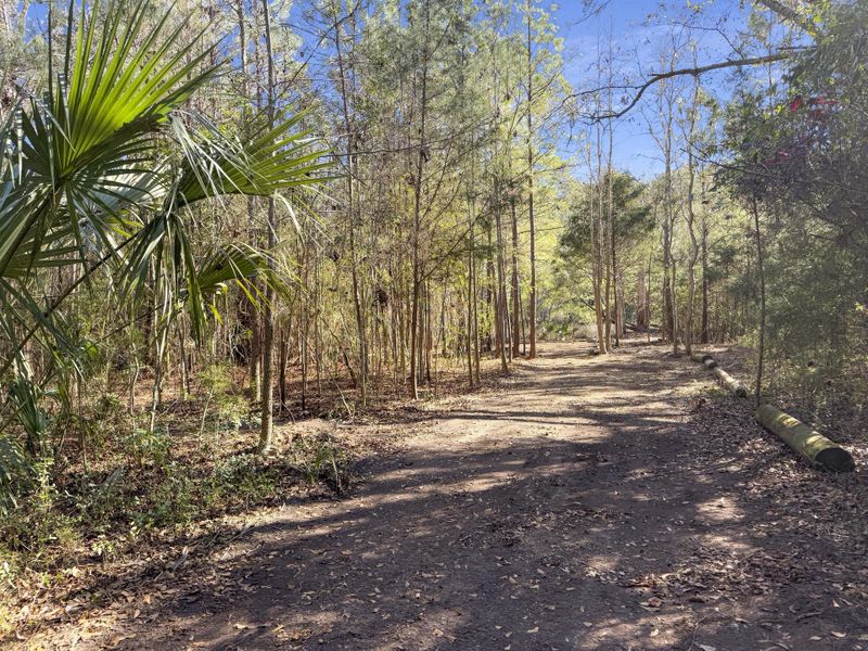 Natural landscape and outdoor views near  in Johns Island (Image 22).