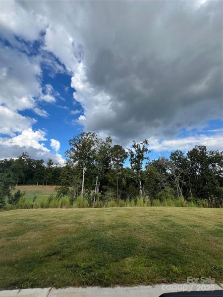 Natural landscape and outdoor views near  in Mount Gilead (Image 29).