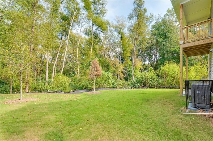 Natural landscape and outdoor views near  in Atlanta (Image 22).