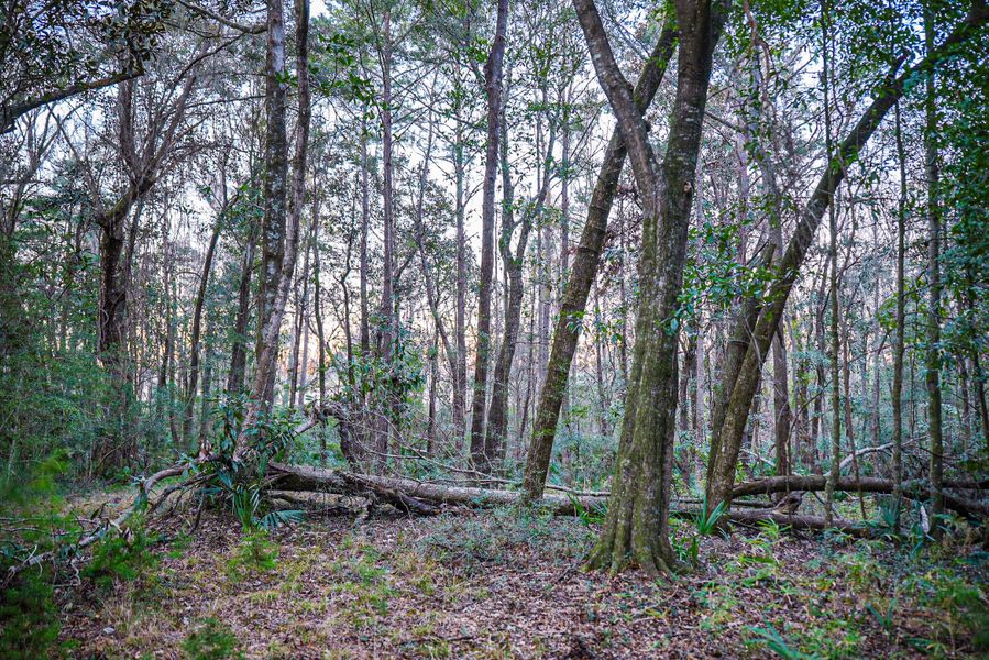 Natural landscape and outdoor views near in Dorchester (Image 29). Natural landscape and outdoor views near in Dorchester (Image 29).