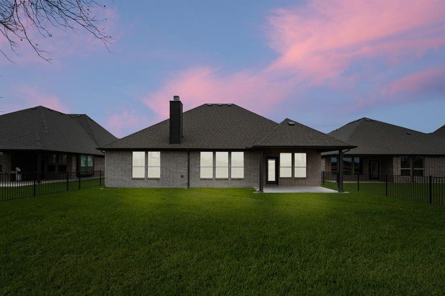 389 Paddle Boat- Back-