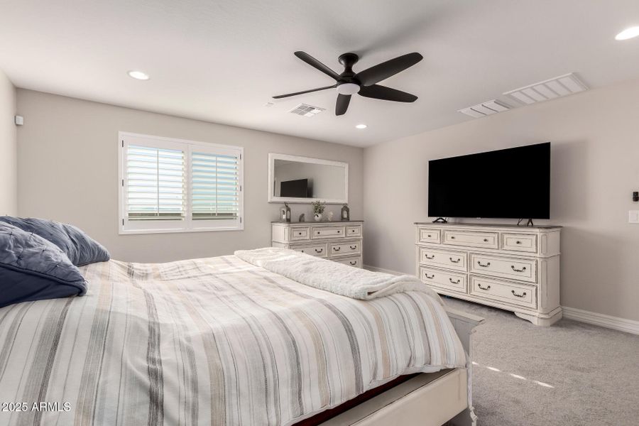 20 - Mariposa Grande 14045