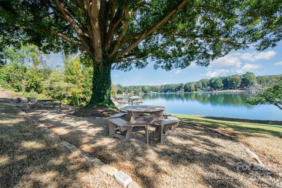 Natural landscape and outdoor views near  in Sherrills Ford (Image 25).