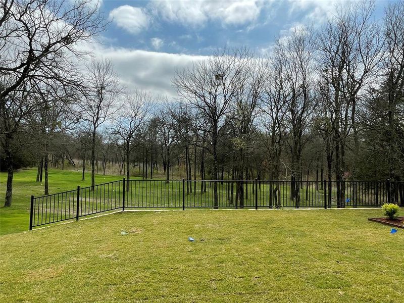 Natural landscape and outdoor views near  in Sherman (Image 28).