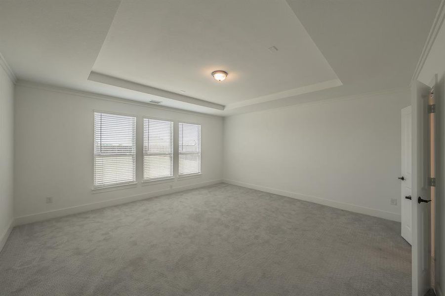 Bright room featuring light grey carpeting, white walls, and a tray ceiling with a central light fixture