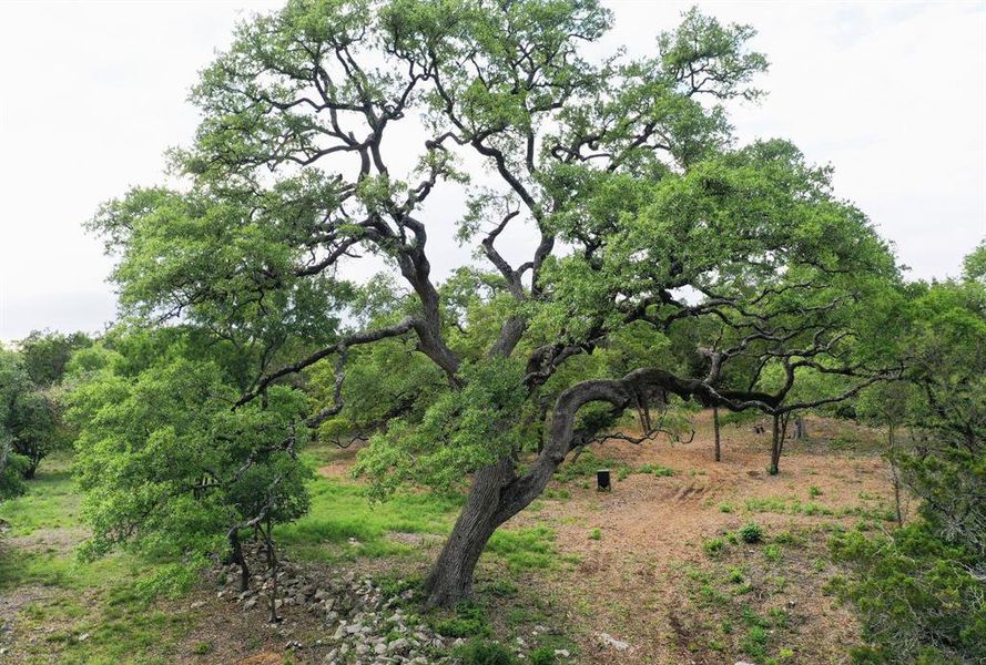 Natural landscape and outdoor views near in Austin (Image 5). Natural landscape and outdoor views near in Austin (Image 5).