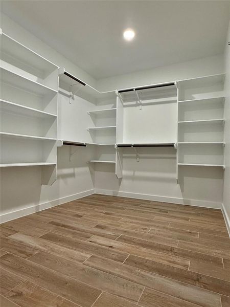 Spacious closet featuring light wood finished floors