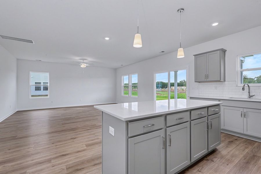 Furnished interior view inside a new home in Garden Grove, Conway (Image 18).