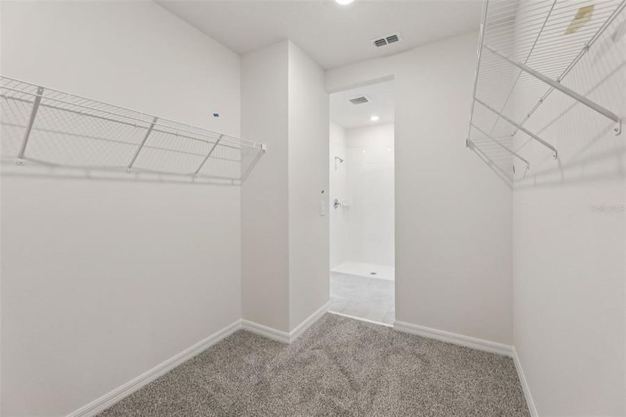 Spacious, unfurnished interior of a new home in Crosswinds - Signature Series, Haines City (Image 31).