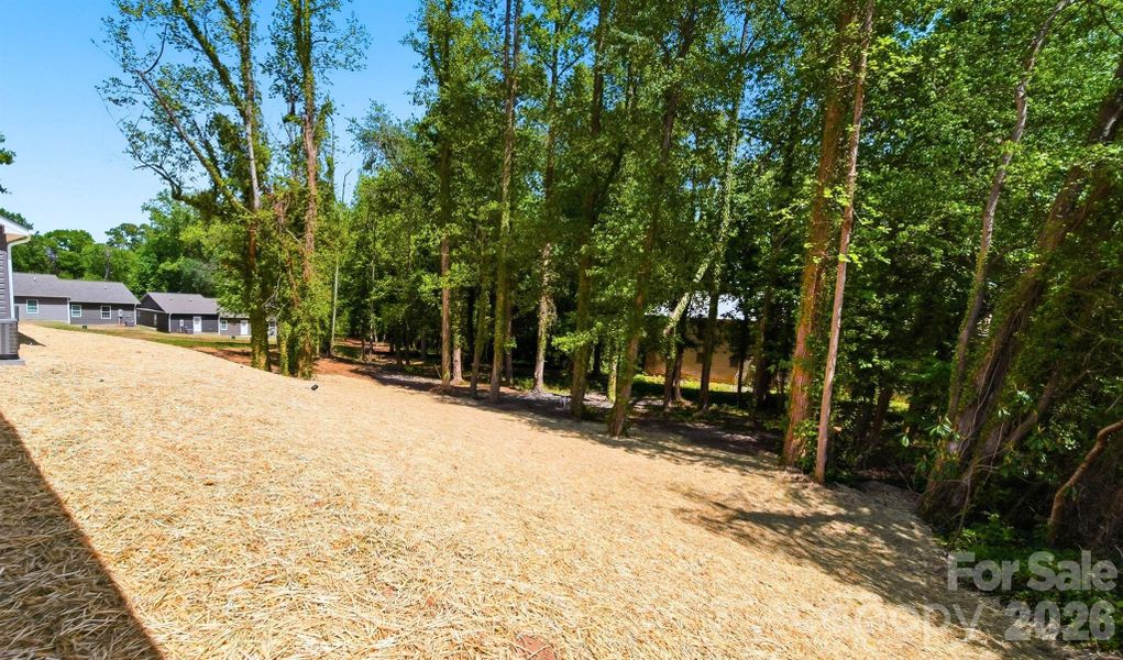 Natural landscape and outdoor views near  in Hickory (Image 39).