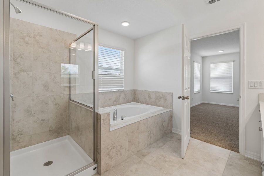 Owner's Bathroom