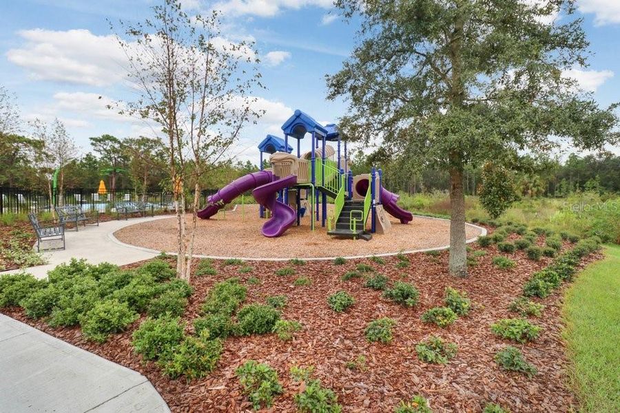 Community amenities in Westgate at Avalon Park, Wesley Chapel (Image 30).
