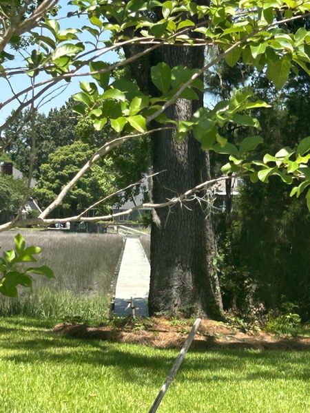 Natural landscape and outdoor views near Church Creek Landing in Charleston (Image 5). Natural landscape and outdoor views near Church Creek Landing in Charleston (Image 5).