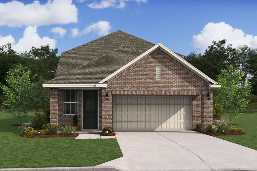 Spanish Cedar QN Spanish Cedar QN