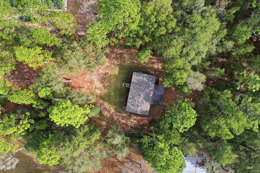 Natural landscape and outdoor views near  in Dunnellon (Image 40).