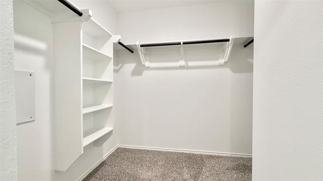 Spacious primary closet with built in shelves
