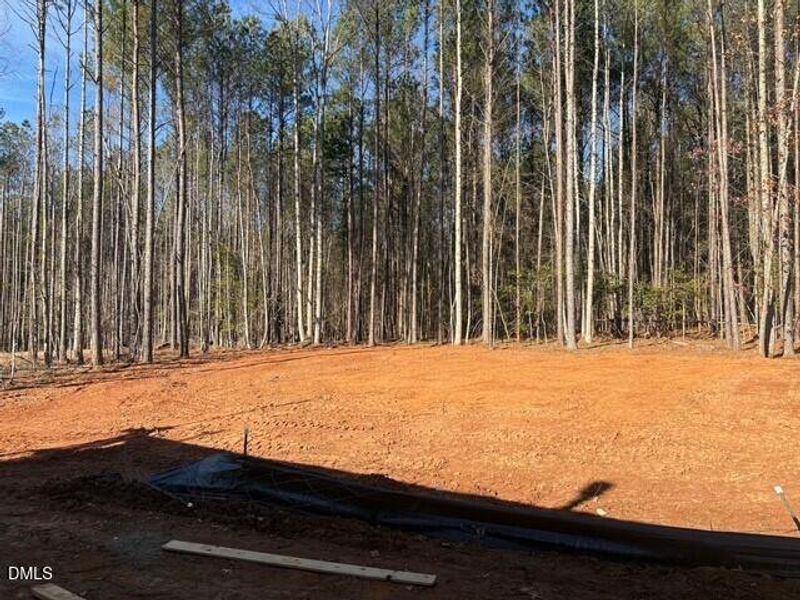 Large Homesite