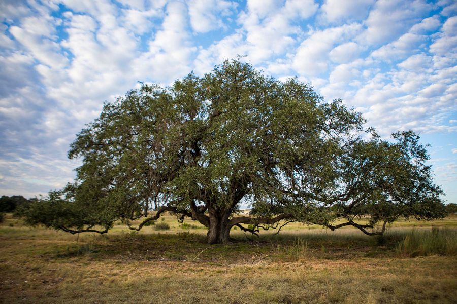 View of undeveloped land with rural landscape View of undeveloped land with rural landscape