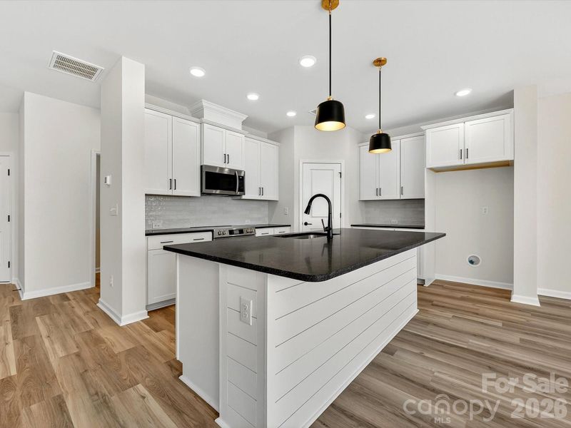 honed granite countertops, 42' cabinets with soft close doors & drawers, tiled backsplash, Frigidaire gallery appliances, microwave is exhaust vented to the outside. Oversized pantry with solid shelving. Shiplap accent on island.LVP flooring throughout the main level of the home