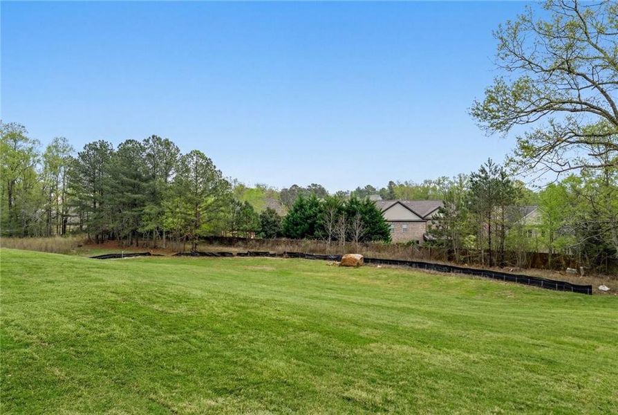 Natural landscape and outdoor views near  in Buford (Image 39).