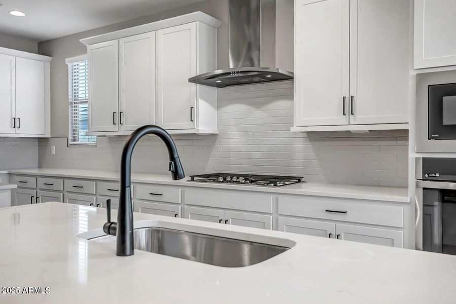 Mesquite Lot 213 (5)