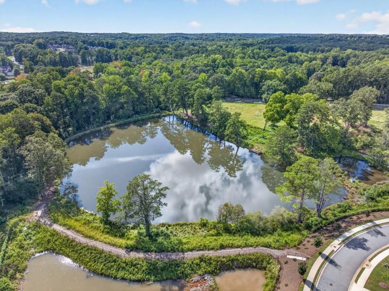Natural landscape and outdoor views near in Dacula (Image 57). Natural landscape and outdoor views near in Dacula (Image 57).