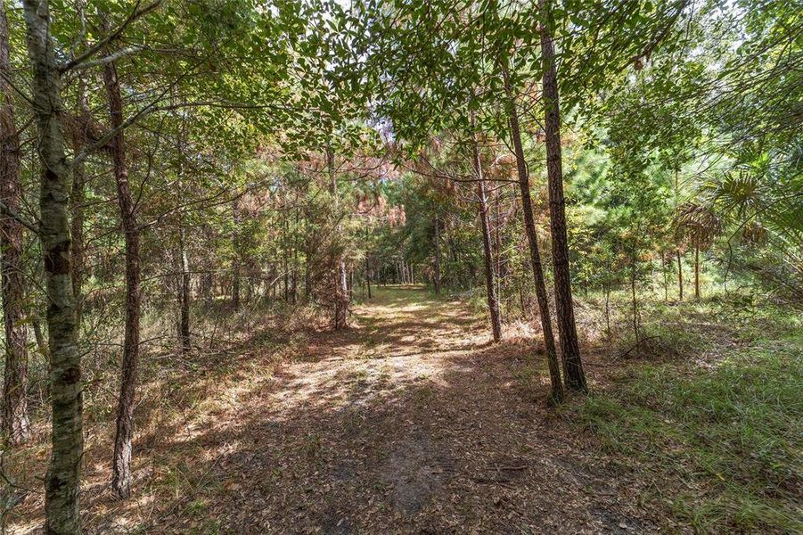 Natural landscape and outdoor views near  in Williston (Image 76).