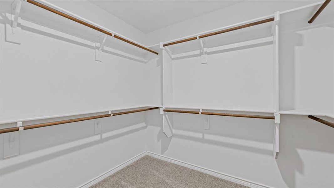 Walk-in closet featuring white walls, carpeted flooring, and multiple wooden hanging rods Walk-in closet featuring white walls, carpeted flooring, and multiple wooden hanging rods
