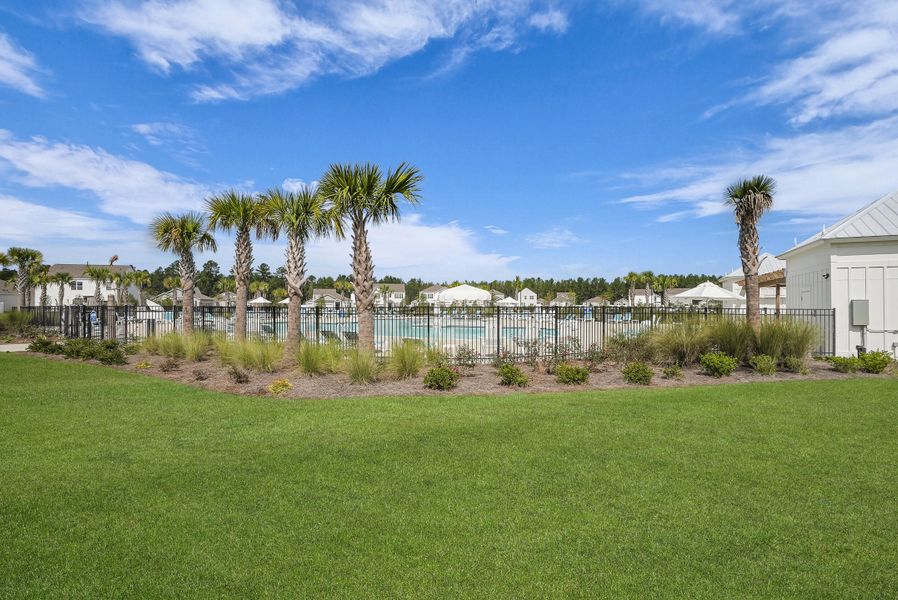 Natural landscape and outdoor views near in Ridgeland (Image 36). Natural landscape and outdoor views near in Ridgeland (Image 36).