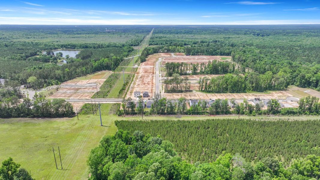 Site preparation for new homesites in Pineview North, Summerville (Image 30).