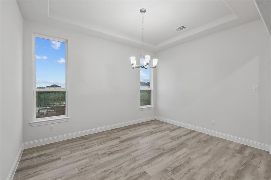 Spare room featuring a tray ceiling, light wood-style floors, and plenty of natural light