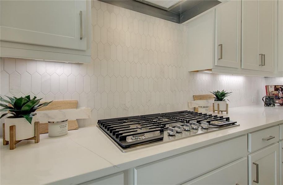 Close-up of interior finishes inside a home in Courtyards at Traditions, Cumming (Image 19).