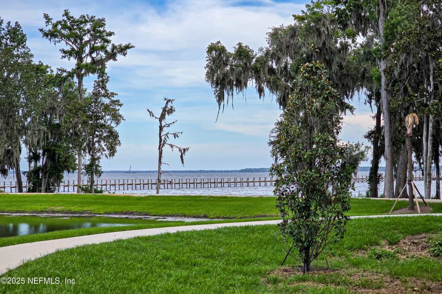 Natural landscape and outdoor views near  in St. Johns (Image 58).