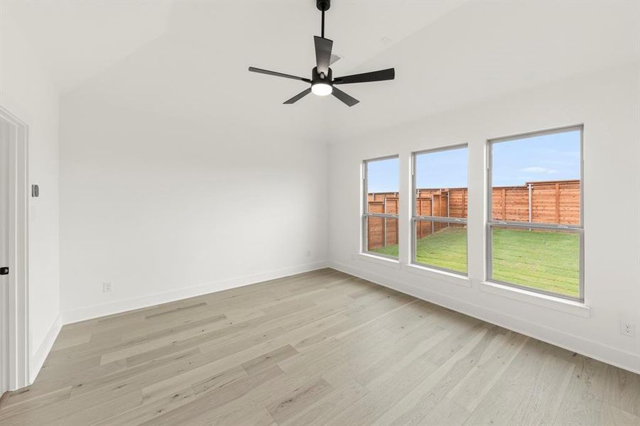 16. 1812 Possum - Primary 16. 1812 Possum - Primary