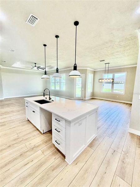 Furnished interior view inside a new home in , High Springs (Image 3).