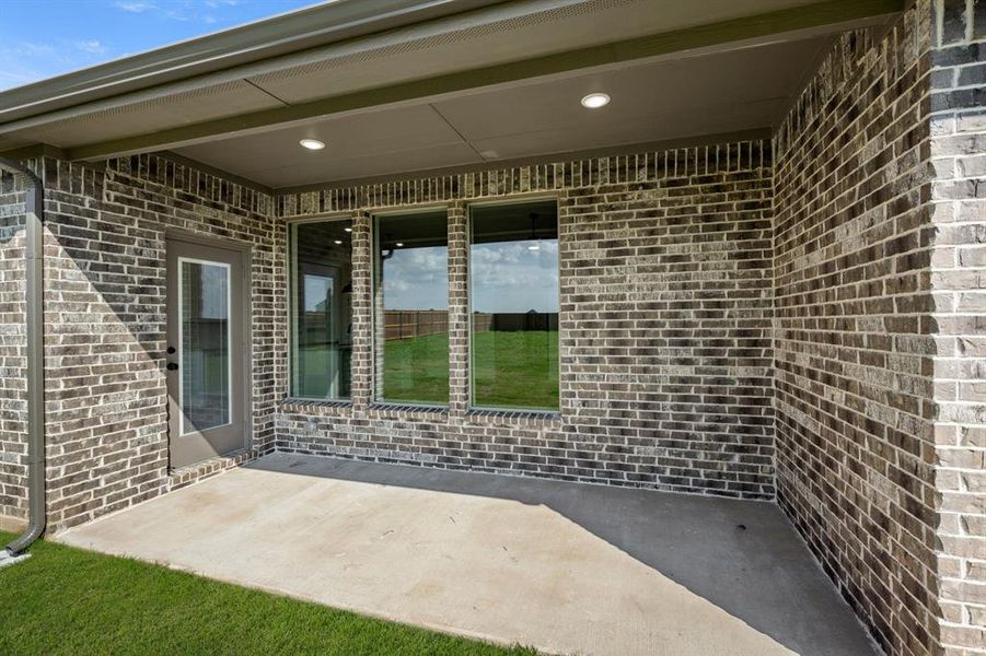 113 Grey wolf- Back-3 113 Grey wolf- Back-3