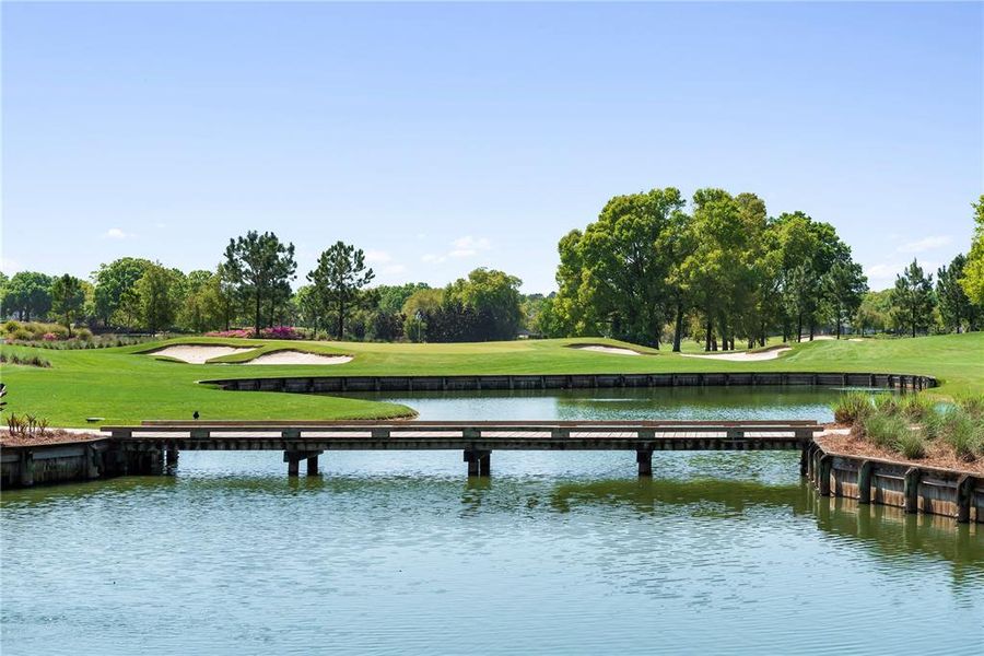 Natural landscape and outdoor views near  in Ocala (Image 66).