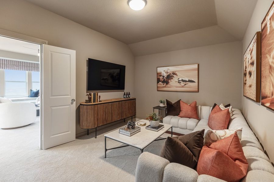 Representative Entertainment Room - some options shown