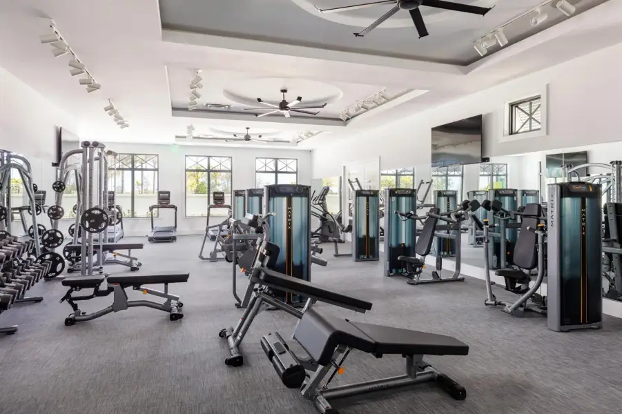 Fitness Fitness