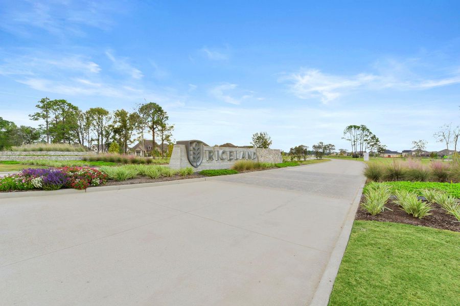 Image 41 of a home in Riceland: 42ft. lots.